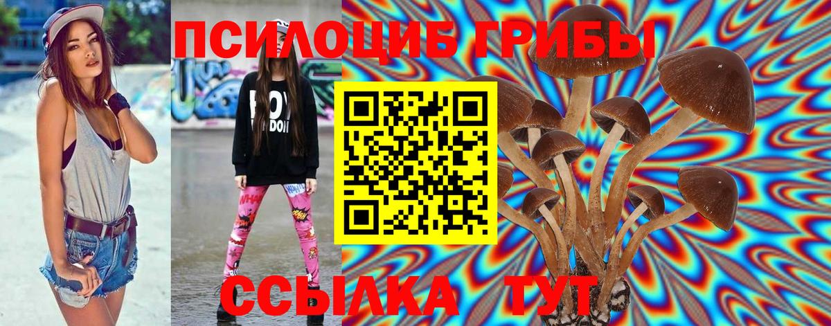 Галлюциногенные грибы мицелий Верхняя Пышма